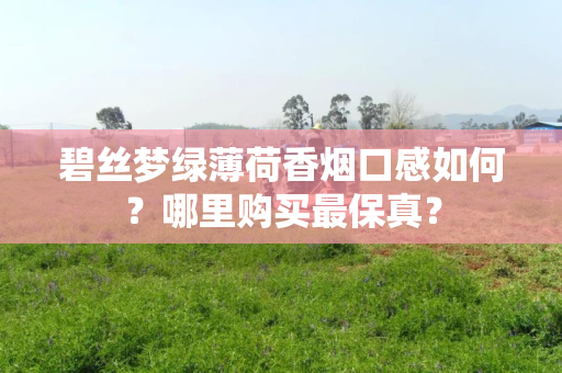 碧丝梦绿薄荷香烟口感如何？哪里购买最保真？